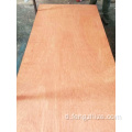 Bintangor Plywood para sa Muwebles 15mm Plywood sa Wholesale